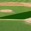 FieldSaver Mesh Infield Protector VCM9x12 Standard Mesh, 15'x20'x50' Forest Green -SOFTBALL Sales a15 762 new