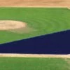 FieldSaver Mesh Infield Protector VCP17x12 Armor Mesh, 20'x24'x64' Royal -SOFTBALL Sales a15 765nav 14
