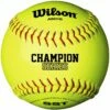 Wilson 12" A9016 47/375 Champion NFHS Leather Cork Softball, WTA9016BSST -SOFTBALL Sales a32 420