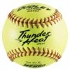 Dudley 12" WT12YFP NFHS 47/375 Thunder Heat Leather Fastpitch Softballs, dz 2 Dudley 12" WT12YFP NFHS 47/375 Thunder Heat Leather Fastpitch Softballs, dz -SOFTBALL Sales a33 314 new 43147