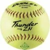 Dudley 12" Thunder ZN 52/300 ASA Slowpitch Composite Softballs, dz -SOFTBALL Sales a33 358 new new