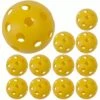 Champion 12pk Sport Softballs, PLSBYL -SOFTBALL Sales a60 593 new